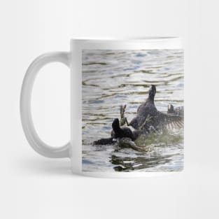 Coot Fight Mug